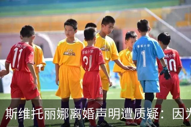 斯维托丽娜离婚声明遭质疑：因为战争就要离婚？别打球了去打仗吧